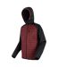 Doudoune Matelassée Rowak Homme Pourpre Foncé Noir Regatta-4