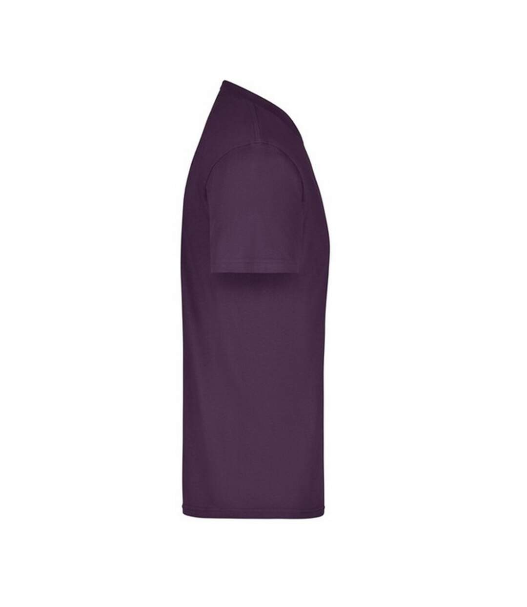 T-shirt Medium Adulte Aubergine James And Nicholson-3