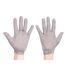 Portwest Unisex Adult AC01 Chainmail Cut Resistant Glove (Silver) (L) - UTPW757