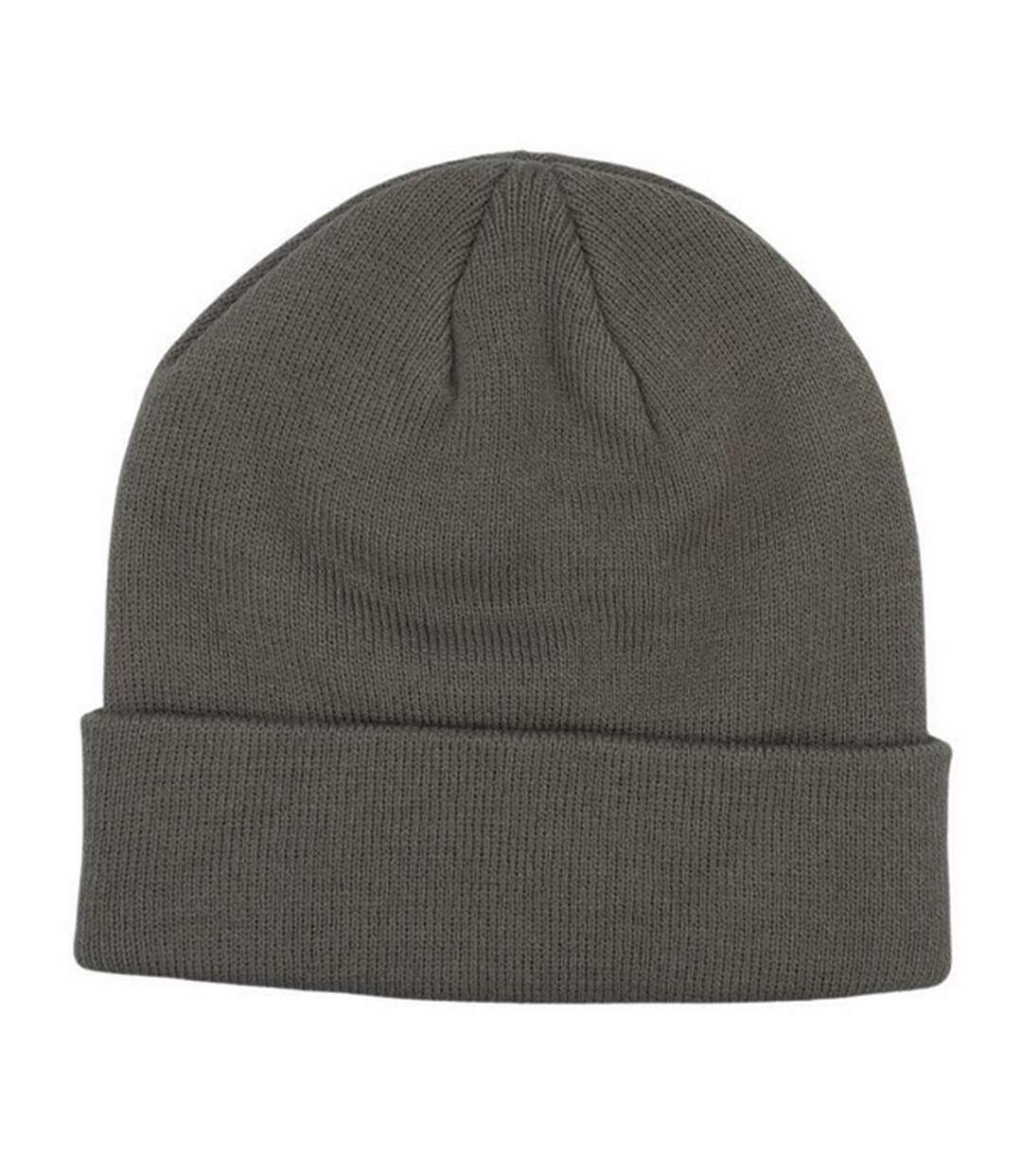Bonnet Adulte Gris Champion-2