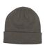 Bonnet Adulte Gris Champion-2