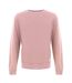 Mens Crew Neck Regular Sweater Top Pastel Pink Firetrap-1
