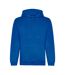 Sweat À Capuche Adulte Bleu Roi Awdis-1