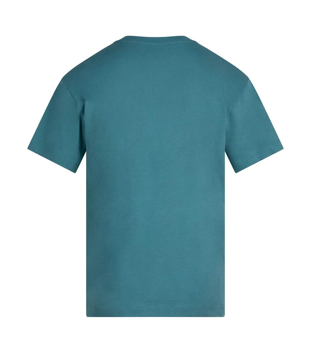 Unisex Adult Heavyweight T-shirt Teal Anthem-2