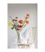 Vase Design en Verre Abby 24cm Transparent-2