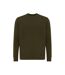 Unisex adult etosha recycled cotton lightweight sweatshirt khaki green Iqoniq-1