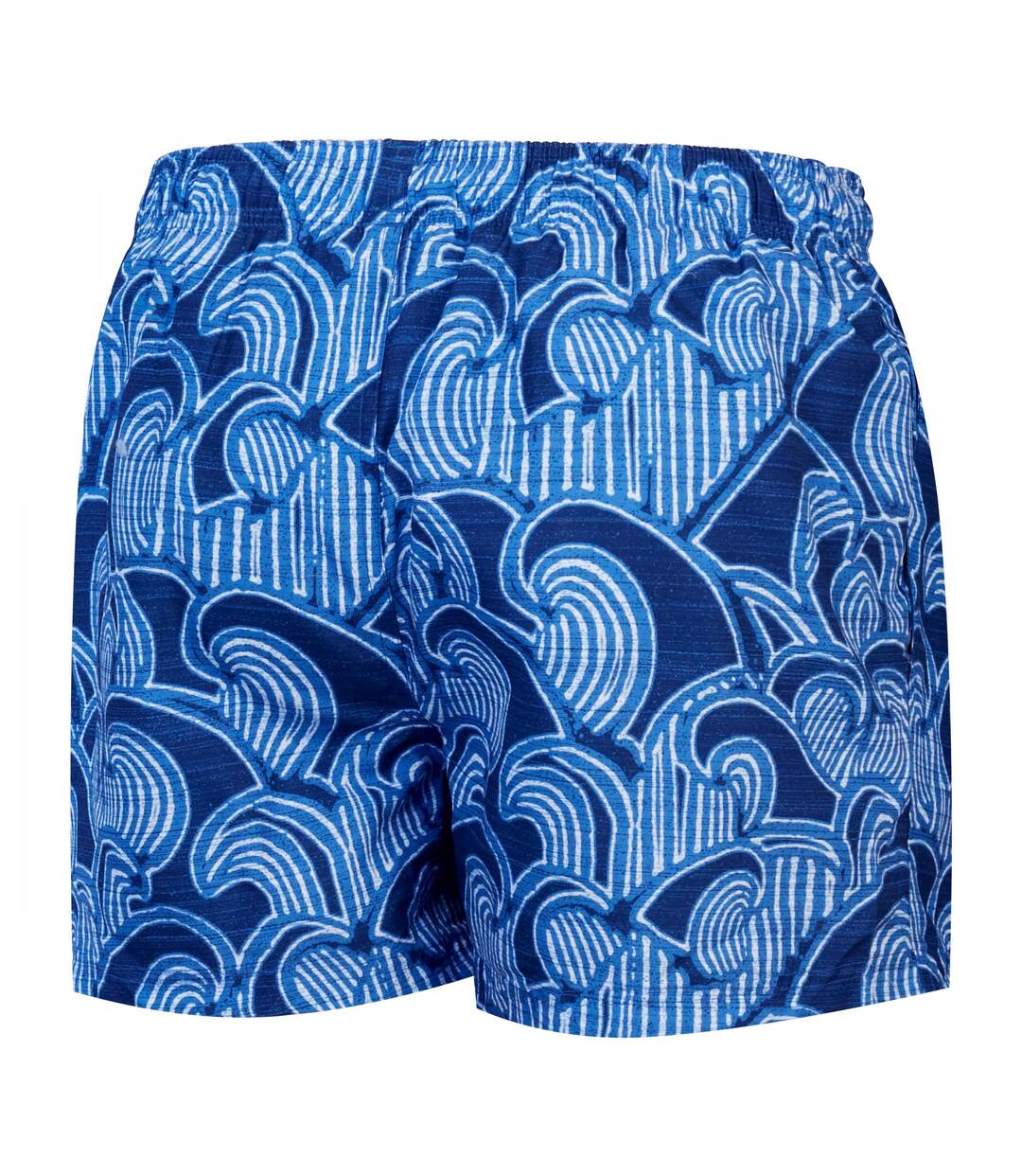 Short De Bain Homme Bleu Speedo-2