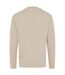 Unisex adult zion recycled cotton crew neck sweatshirt desert Iqoniq-2