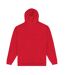 Park Fields Unisex Adult Arch Hoodie (Red) - UTPN627