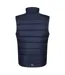 Veste Sans Manches Navigate Homme Bleu Marine Gris Phoque Regatta-2