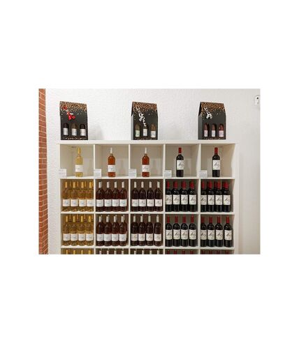 Visite d’un domaine viticole près de Perpignan avec dégustation et 6 bouteilles offertes - SMARTBOX - Coffret Cadeau Gastronomie