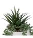 Plante Artificielle en Pot Visage 25cm Blanc-2