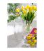 Vase Design en Verre Clara 20cm Transparent-3