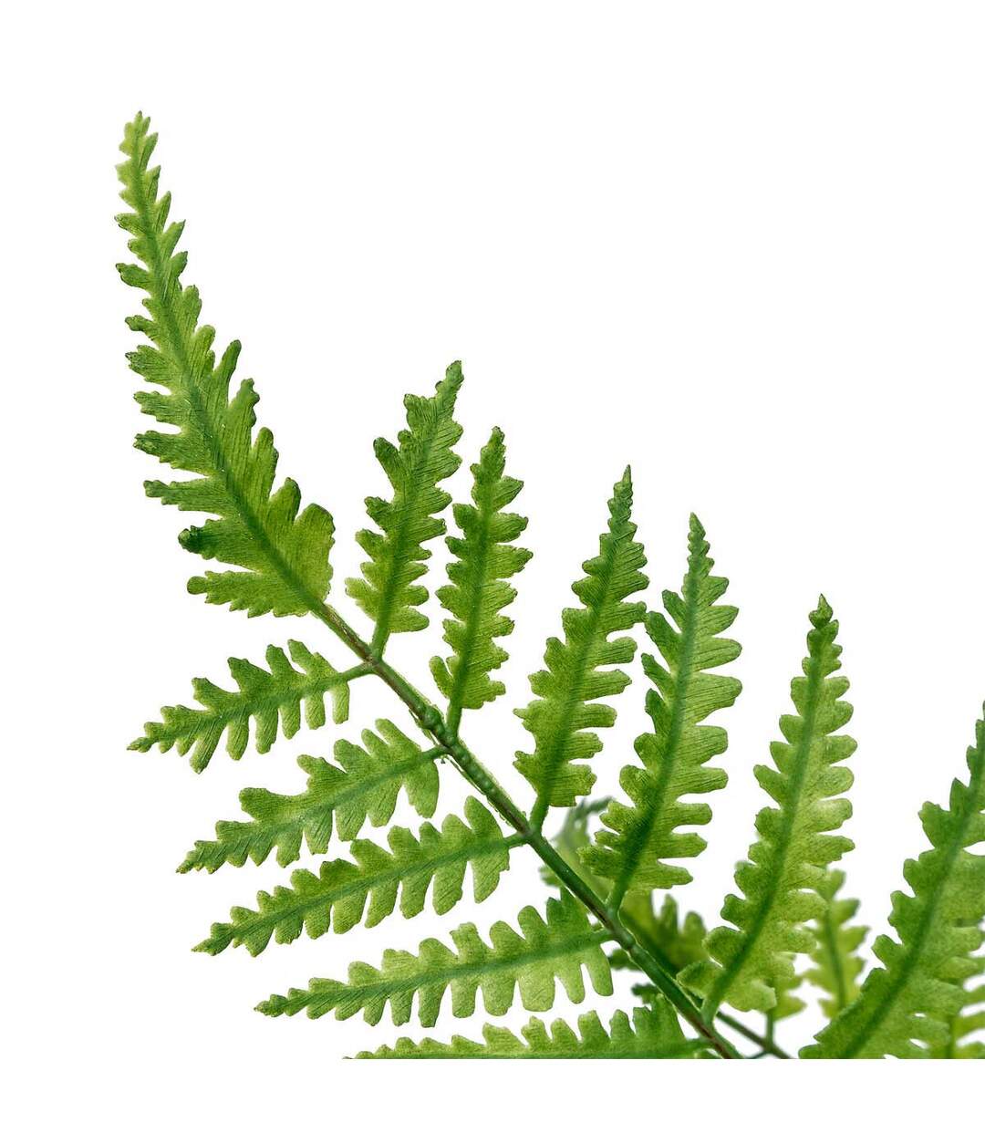 Tige Artificielle Fougère James 90cm Vert-2