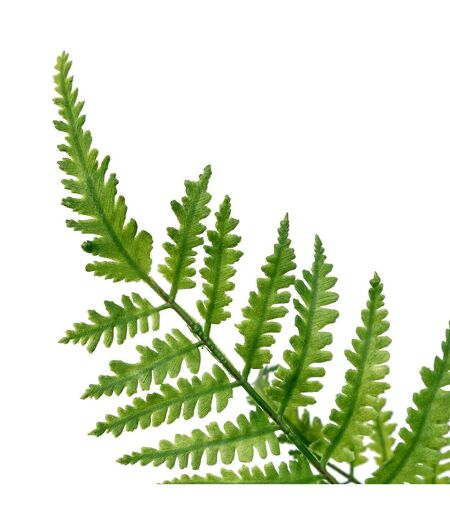 Tige Artificielle Fougère James 90cm Vert