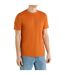 Mens relaxed fit t-shirt gold flame Umbro-3