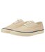 Mens cvo trainers birch Sperry-1