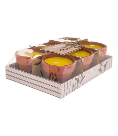 Lot de 6 Bougies Parfumées en Terre Cuite Terry 40g Citronnelle