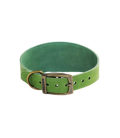 Timberwolf hound leather dog collar 34cm 43cm green Ancol
