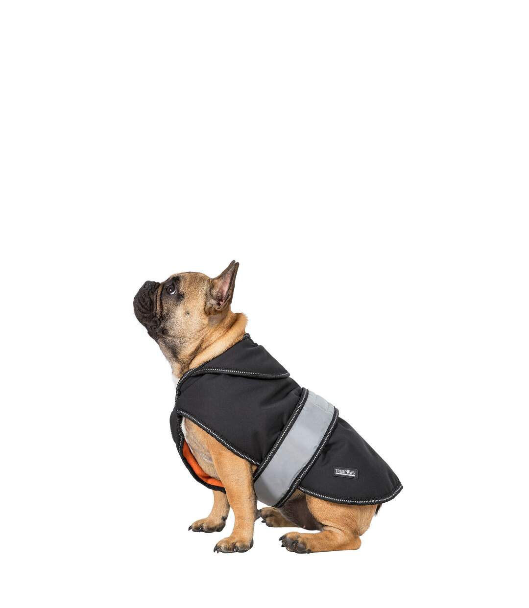 Butch touch fastening softshell dog jacket xs black Trespass-2