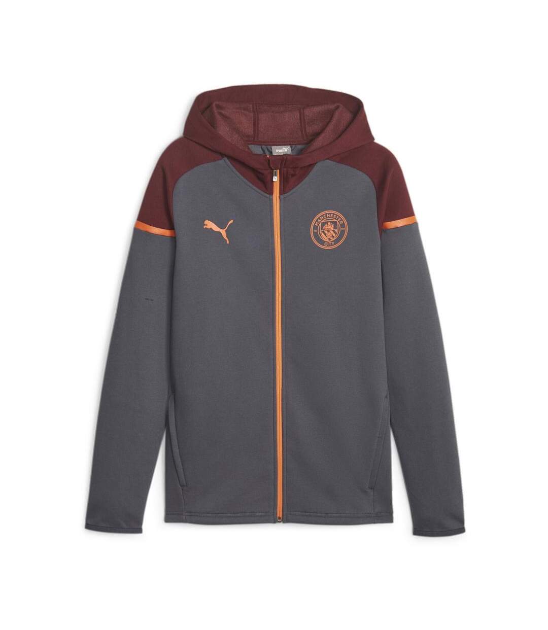 Manchester City Sweat Zippé Grise Homme Puma Casuals Hooded - M-1