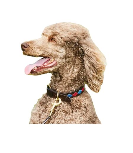 Weatherbeeta Polo Leather Dog Collar (Beaufort Brown/Red/Orange/Blue) (XXL) - UTWB1575