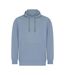 Sweat À Capuche Fashion Adulte Bleu De Gris SF Men-1