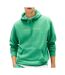 Sweat vert homme tommy hilfiger washed dm0dm20746-1