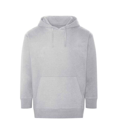 Ecologie Unisex Adult Crater Recycled Hoodie (Heather Grey)