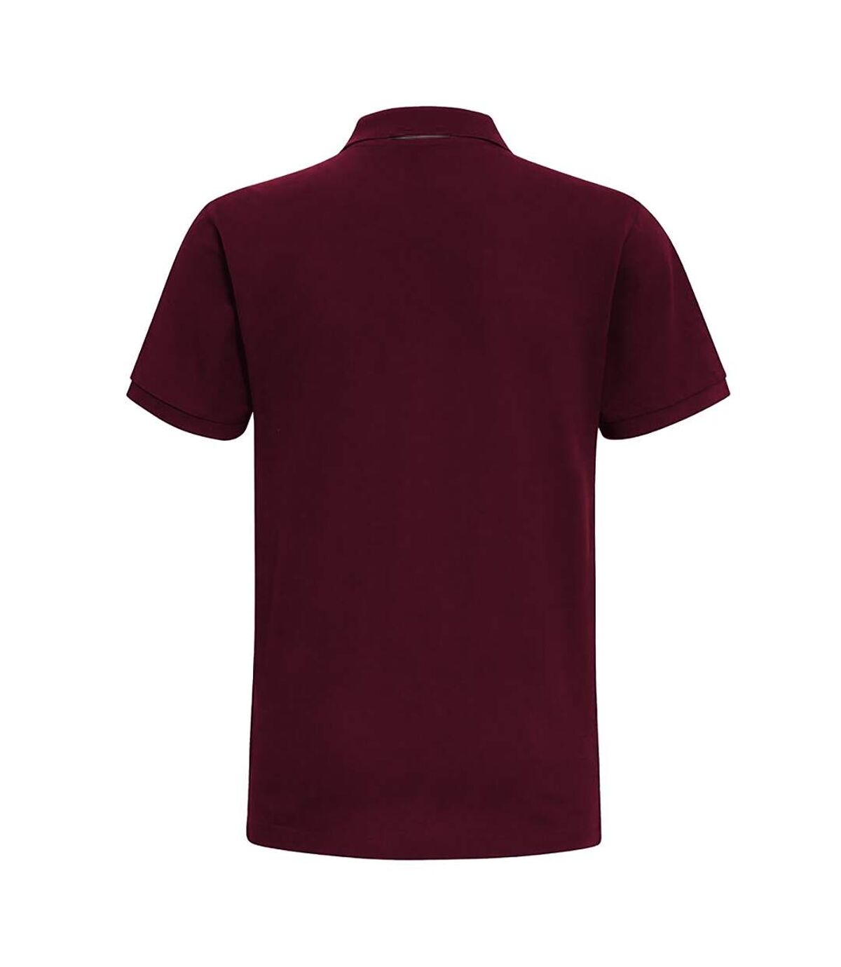 Asquith & Fox Mens Classic Fit Contrast Polo Shirt (Burgundy/ Charcoal)