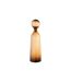 Bouteille avec Bouchon Uni Joyce 44cm Marron-1