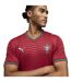 Mens Portugal Fc Home Shirt Red Green Puma-3