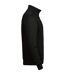 Tee Jay Unisex Adult Half Zip Sweatshirt (Black) - UTBC5405