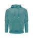 Unisex Adult Hopedale Hoodie Aloe Green James Harvest-1