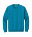 Sweat Adulte Saphir Gildan-2