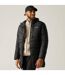 Doudoune Matelassée Et Unie À Capuche Ajustable Browen Homme Noir Regatta-4