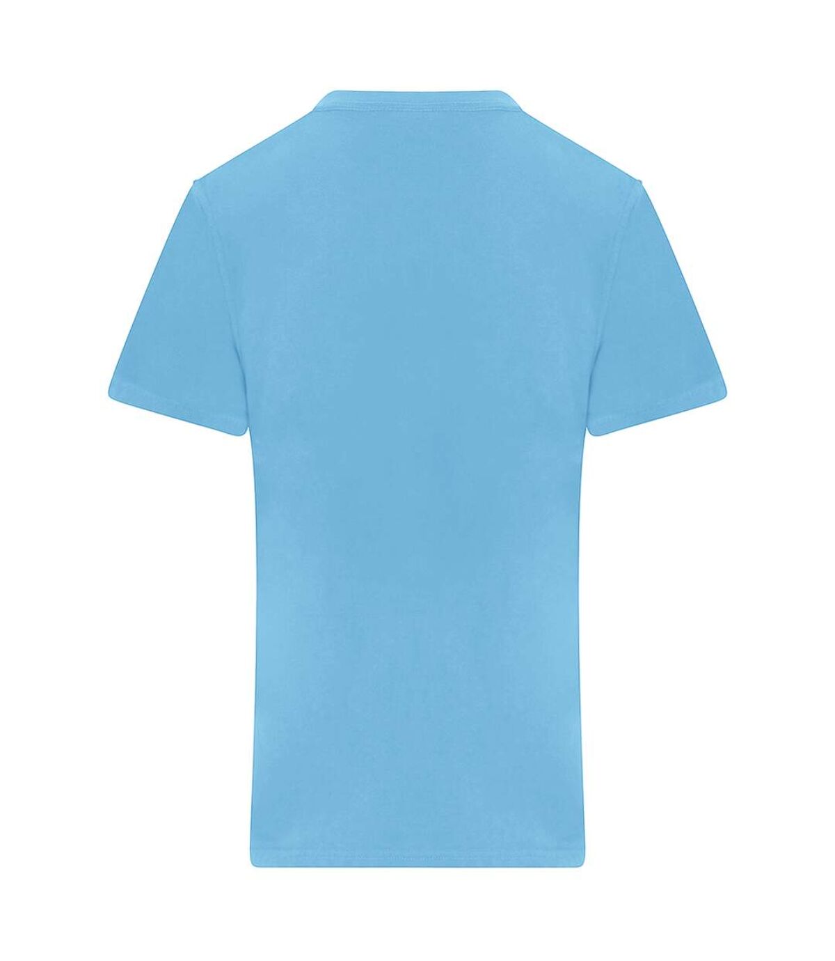 PRO RTX Mens Pro T-Shirt (Sky Blue)