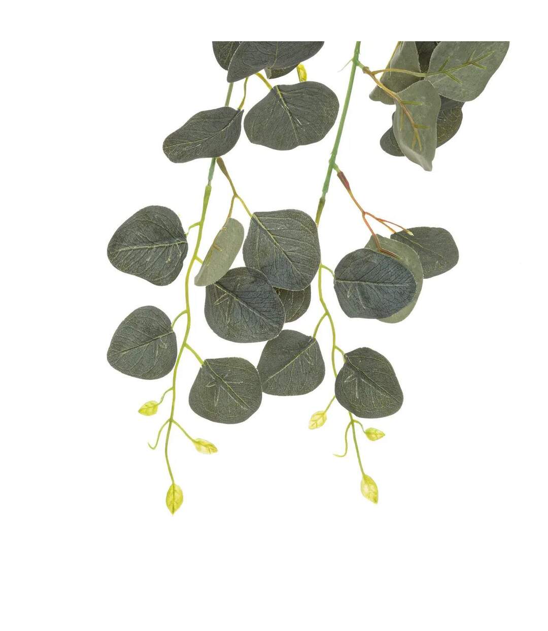Tige Artificielle Eucalyptus Drew 80cm Vert-2