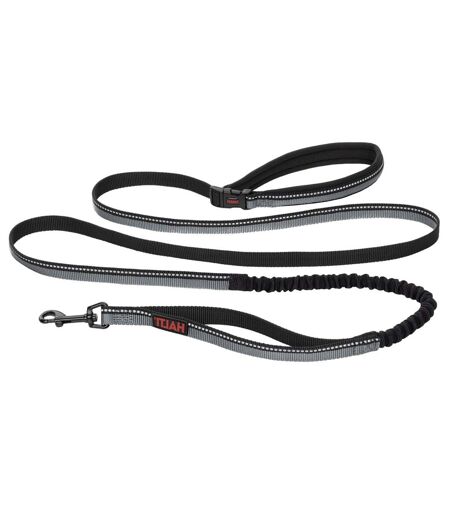 Laisse pour chiens active grand-2,5 cm-2,1 m noir Halti