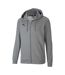 Mens Teamgoal 23 Casuals Hooded Jacket Grey Puma-2