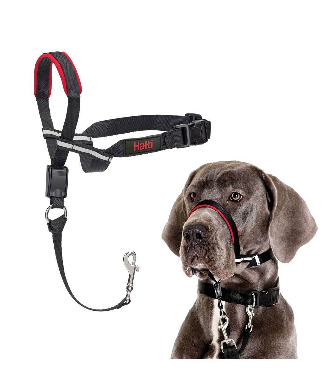 Harnais pour chiens optifit s noir Halti-2