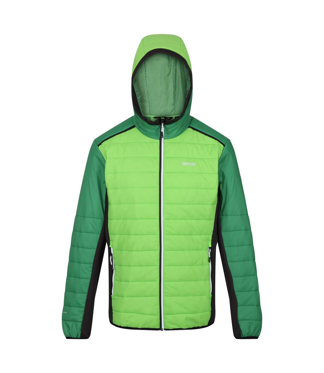 Doudoune Matelassée Trutton Homme Vert Jasmin Vert Des Champs Regatta-1
