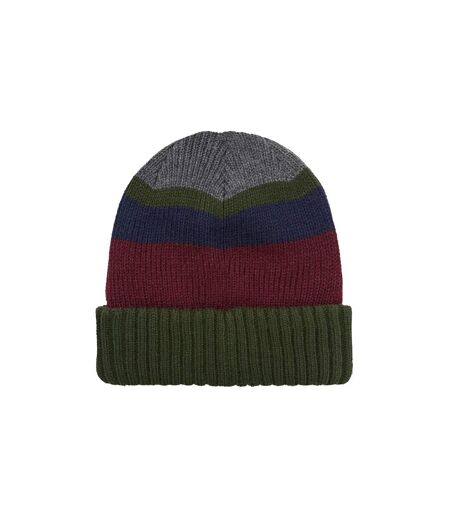 Mens & Ladies Waterproof Thermal Roll Cuff Striped Beanie Hat