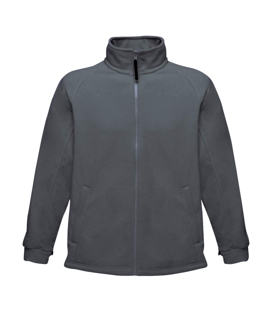 Veste polaire thor homme gris clair Regatta Regatta