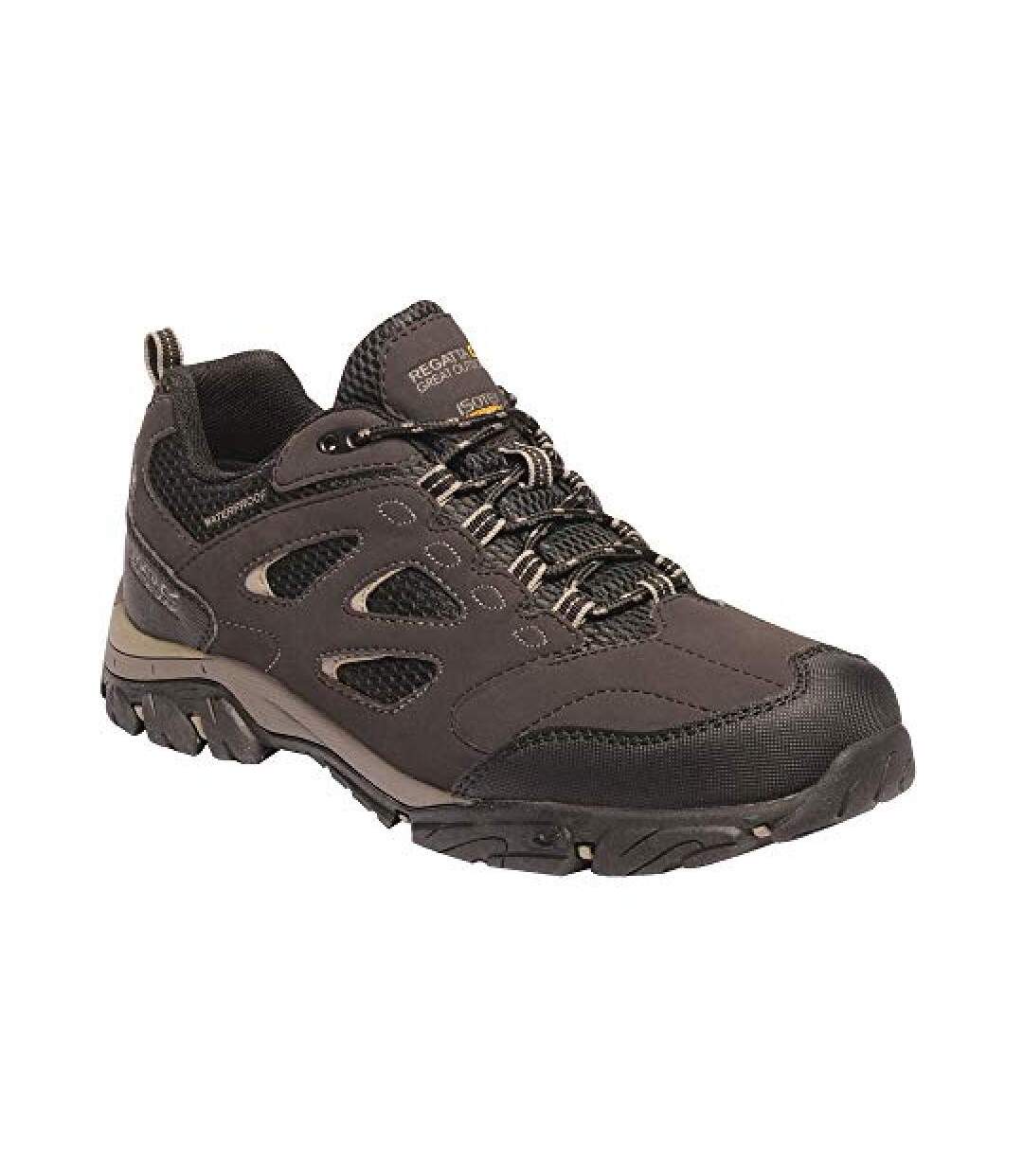 Regatta - Chaussures de randonnée HOLCOMBE - Homme (Marron foncé) - UTRG3659