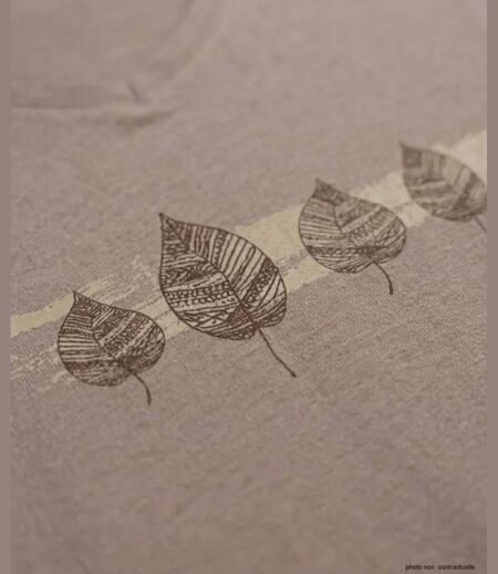 Mayflower NERVAL5 : Tee-shirt femme manches longues beige en coton avec petit col V