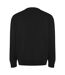 Roly Unisex Adult Batian Crew Neck Sweatshirt (Solid Black)