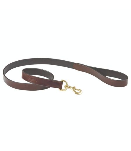 Weatherbeeta Leather Dog Lead (One Size) (Brown) - UTWB1259