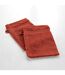 Lot de 2 Gants de Toilette Tendresse 15x21cm Rouge-2