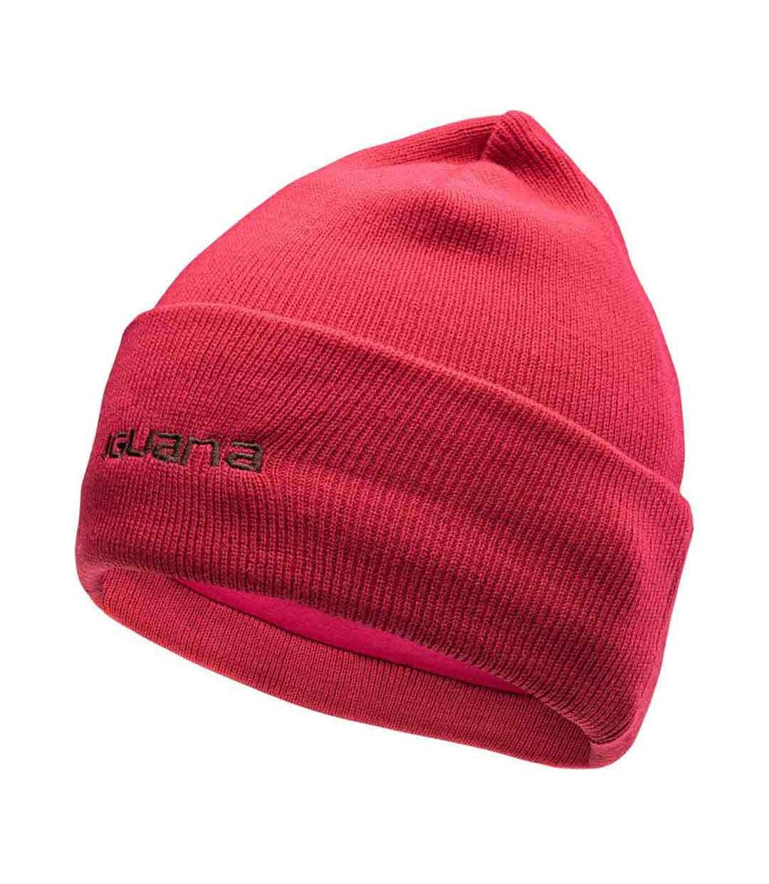 Womens/ladies lea ribbed winter hat ambil red Iguana